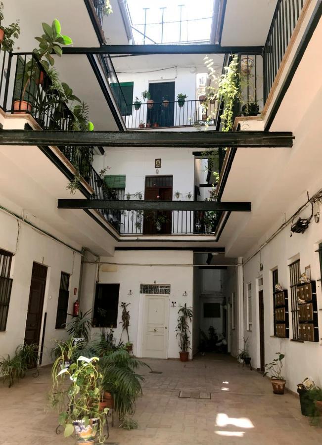 Magnifico Apartamento Tipo Duplex En Triana セビリア エクステリア 写真